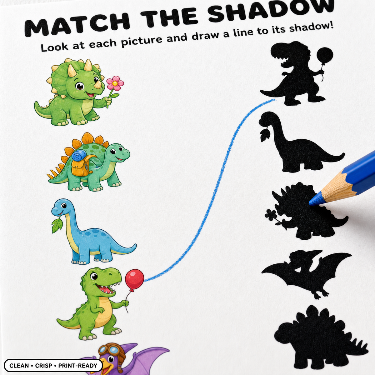 Find and Match the Shadow